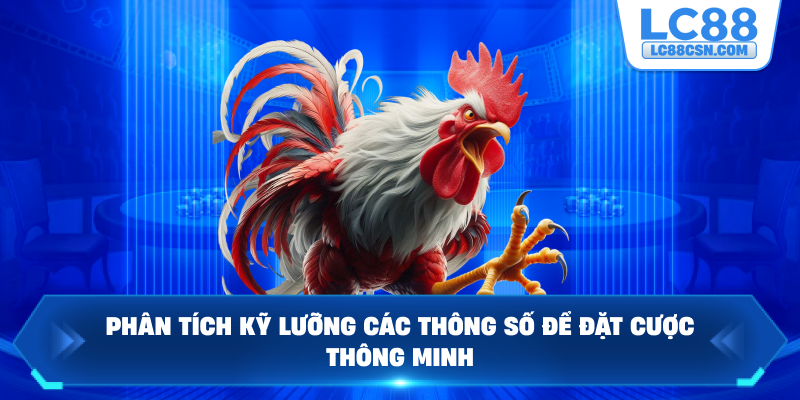 Phân tích kỹ lưỡng các thông số để đặt cược thông minh