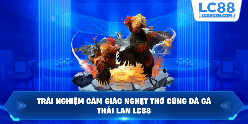 Trải nghiệm cảm giác nghẹt thở cùng đá gà Thái Lan LC88